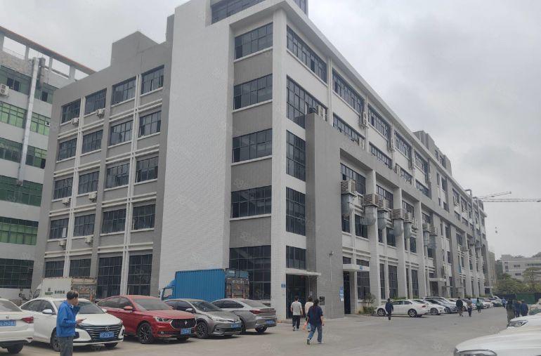 凤岗1楼1800平带牛角，楼上3600平，现成办公室