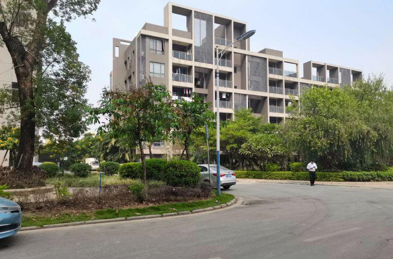 凤岗金凤凰原房东厂房出租1000平一楼高度6米带牛角可分租