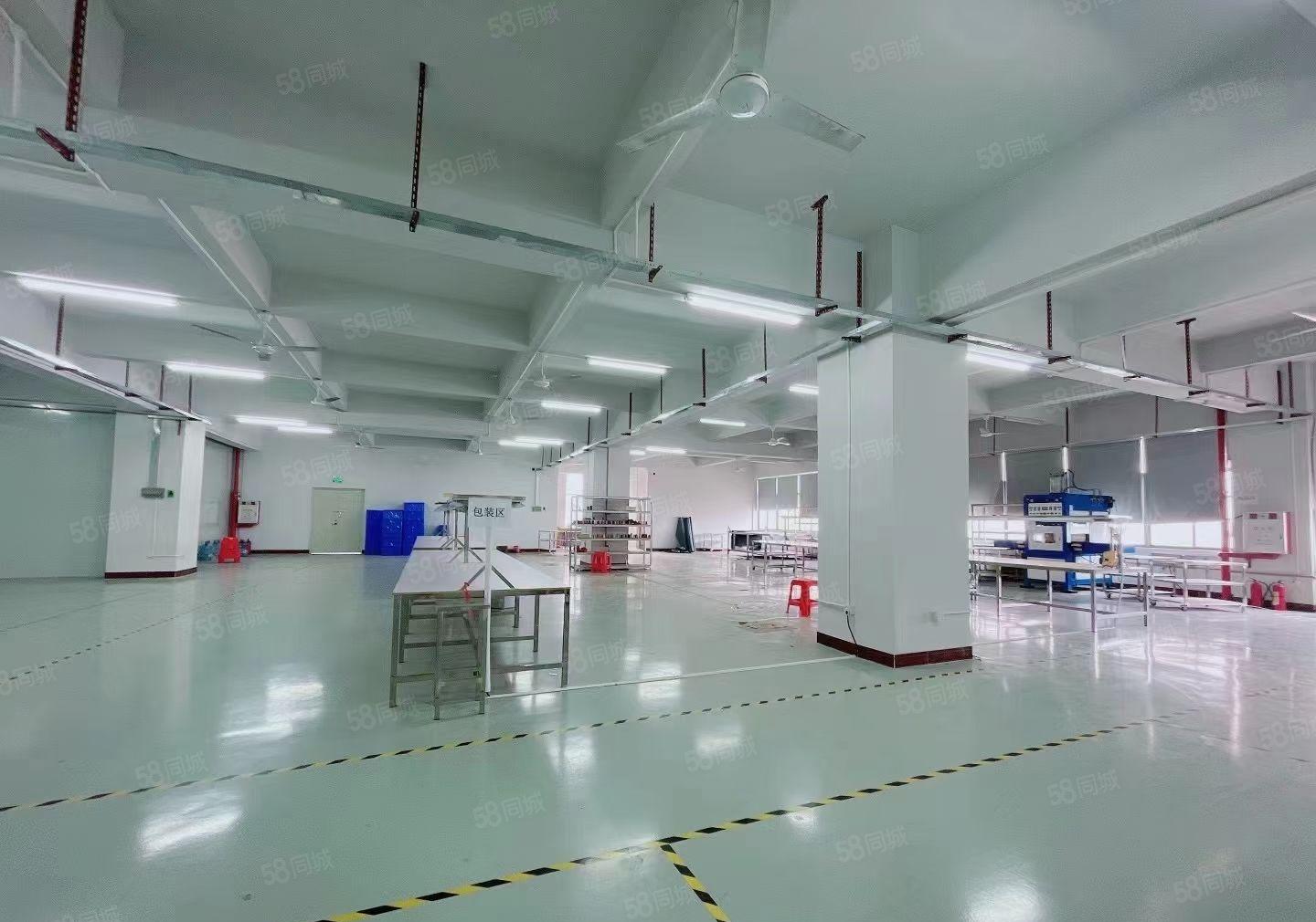 凤岗镇官井头2楼1500平方，3吨电梯，现成装修，无需转让费