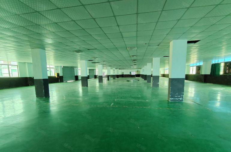 东莞凤岗竹塘村原房东厂房三层面积共5000平临深圳塘厦清溪