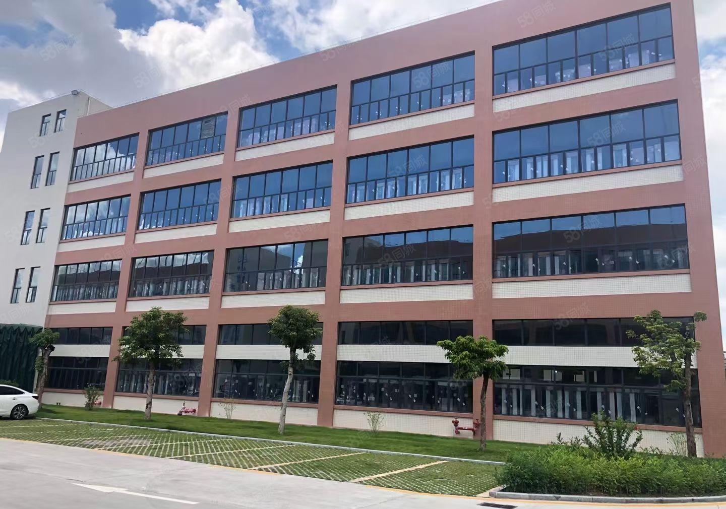 凤岗金凤凰二楼1300平方带办公室装修厂房出租