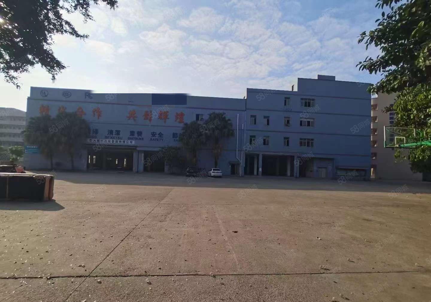 超大空地 凤岗金凤凰独院厂房出租10800平可分 适合各行业