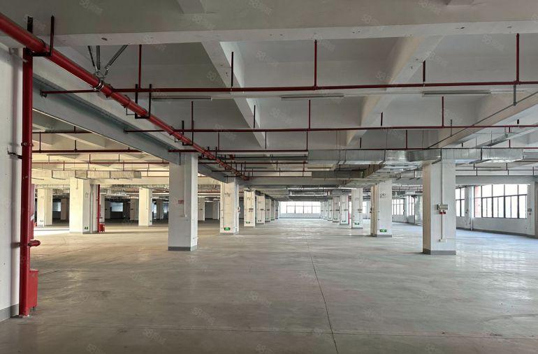 9元！免租期6个月，单层面积3000平，凤岗一房东3万平直租