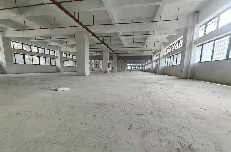 凤岗13元0公摊重工业厂房仓库2000平起出租，一楼高7米