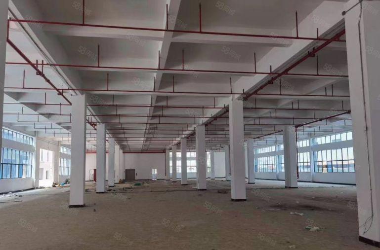 凤岗原业主新出大平层一二楼10000平可分租