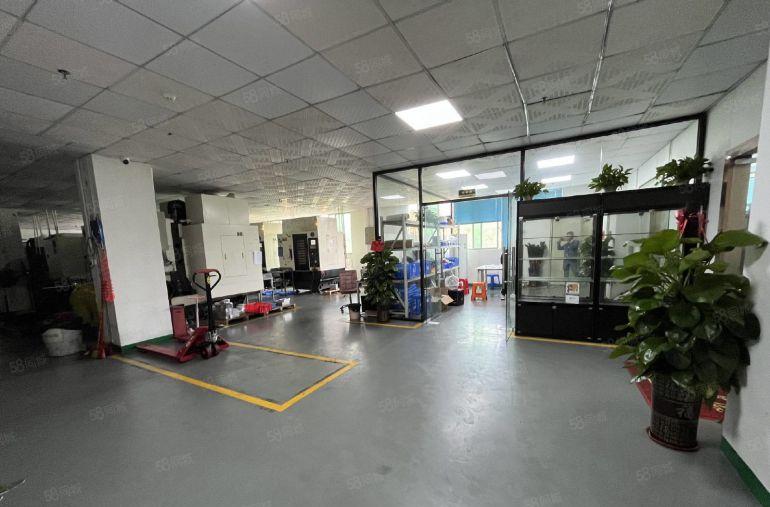 东莞凤岗800至4万平精装修钢构无尘车间低价厂房仓库空地出租