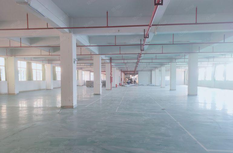 凤岗五联楼上2750平包装电子毛刷 现成水电办公室 拎包入驻