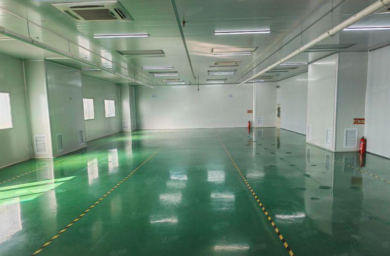 凤岗楼上精装修无尘车间1200平厂房出租主干道边上空地大