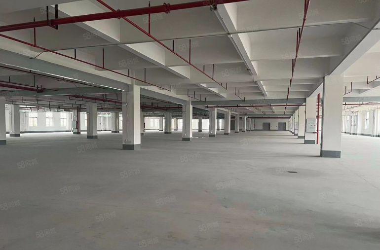 凤岗新出电商仓储大平层厂房整层面积6300平