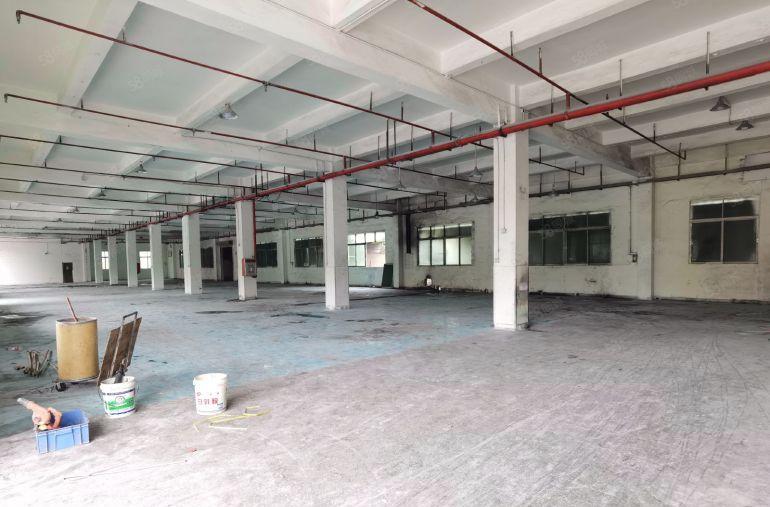 凤岗官井头6300平原房东标准独院厂房可整租可分租500起分