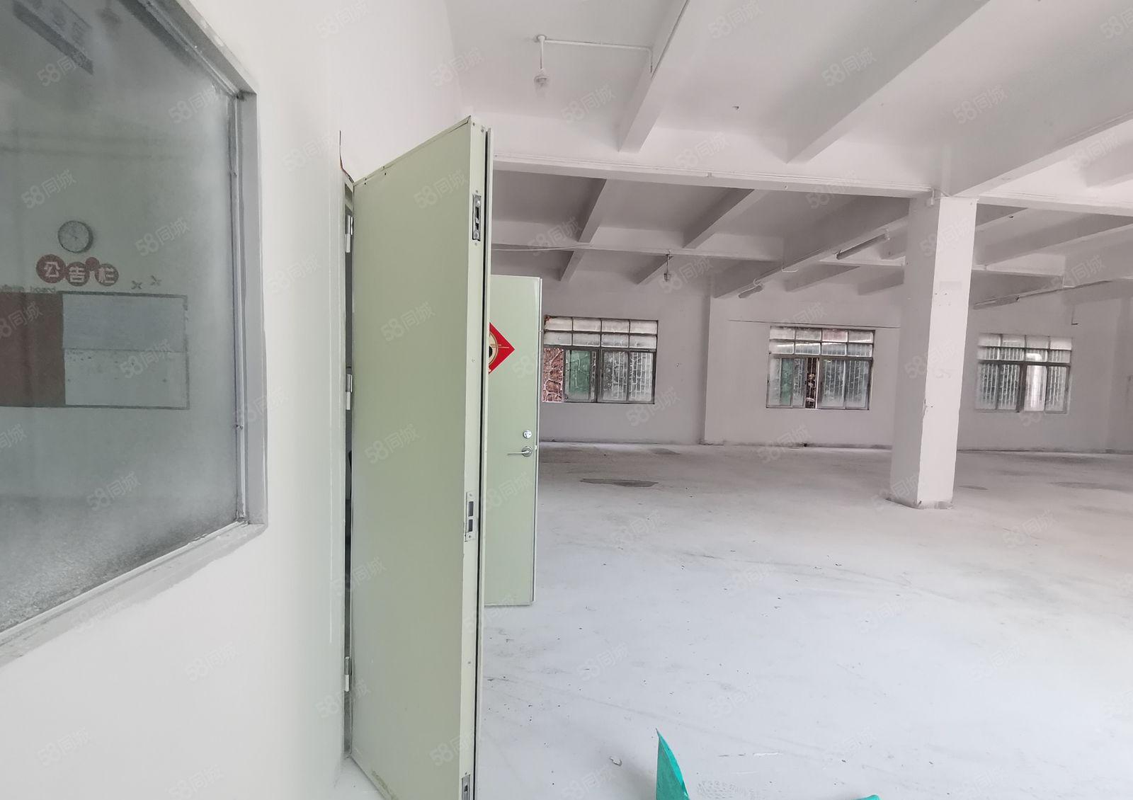 凤岗官井头工业区独门独院1000平红本一楼仓库厂房出租可分租