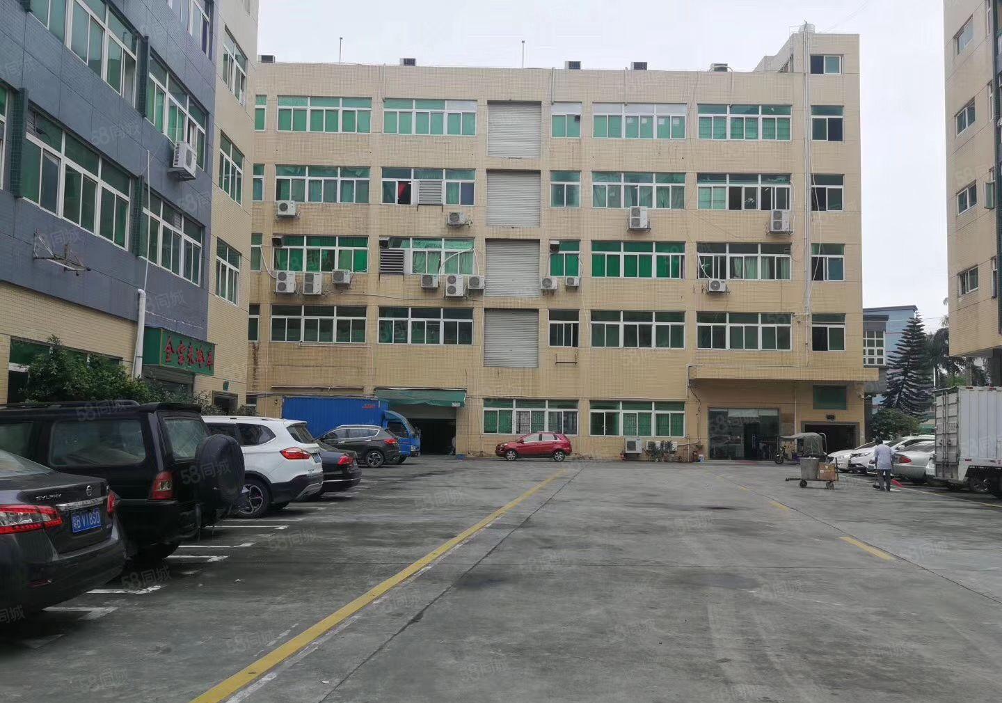 凤岗金凤凰二楼500平方带办公室装修厂房出租