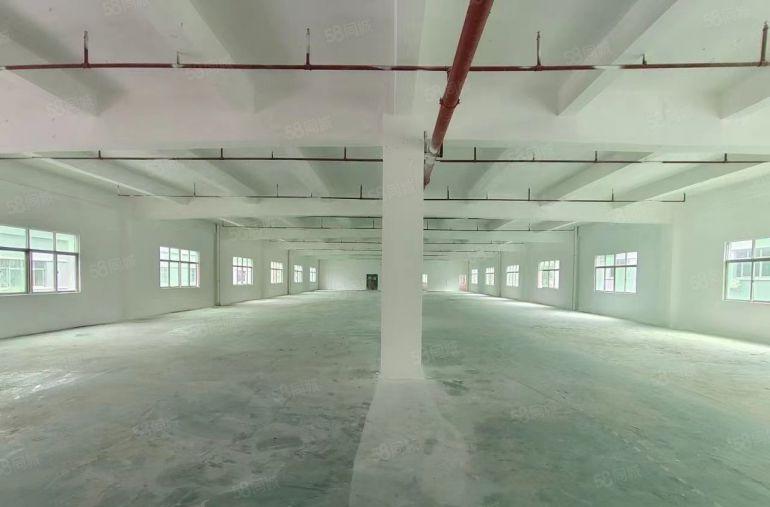 凤岗雁田国企厂房独门独院5500平方厂房3层空地大无分摊出租