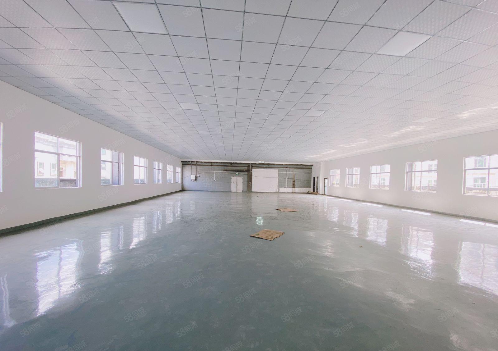 凤岗金凤凰楼上1000平现成装修租金12可谈