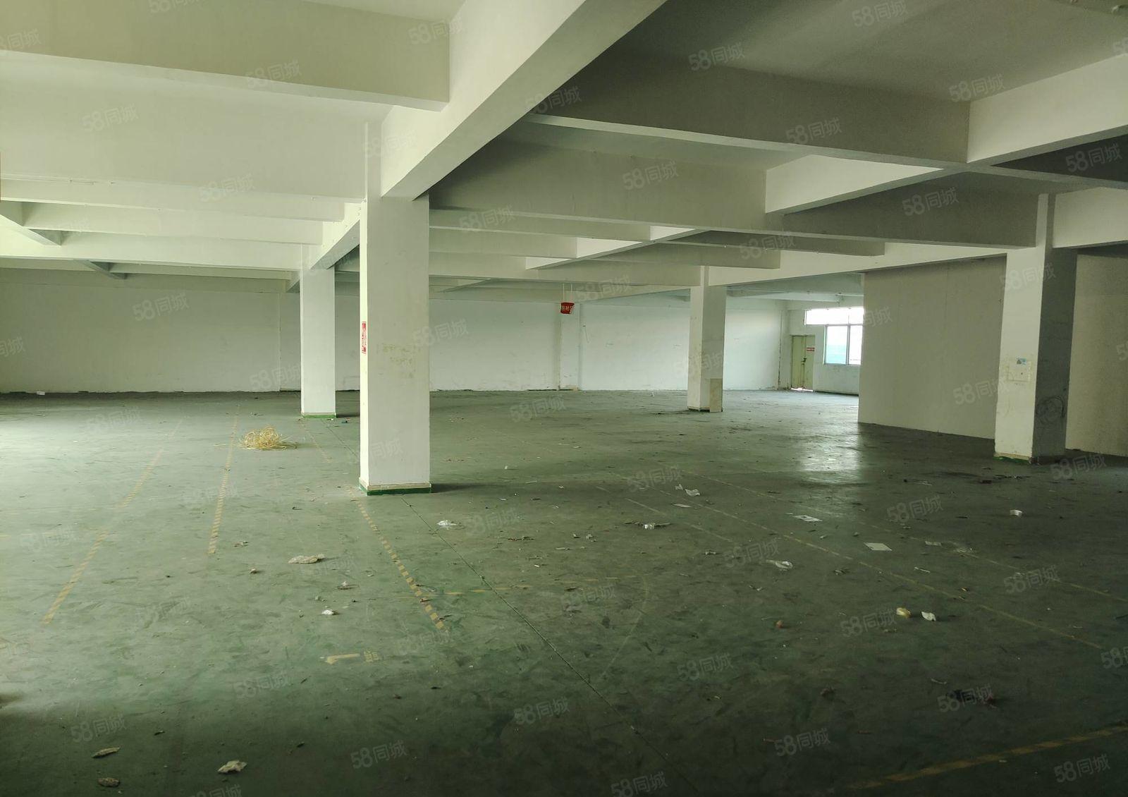 凤岗镇邻深新出3楼1500平方4楼1300平方重工业好招工来