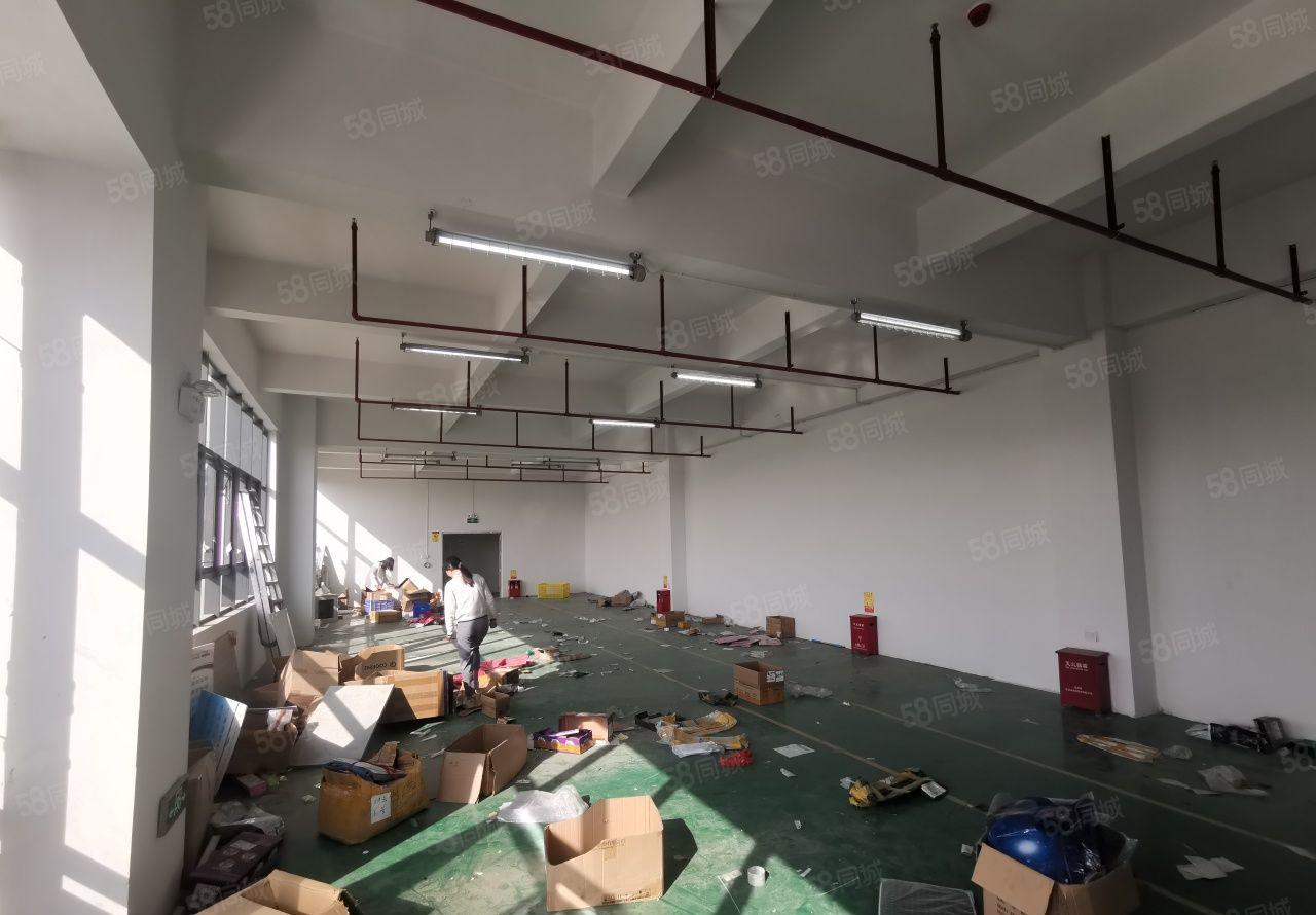 凤岗五联新出独门独院3600平方出租(可以分租）