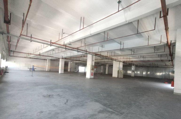 深圳里的凤岗观澜交接处原房东3100平可分组价格实惠