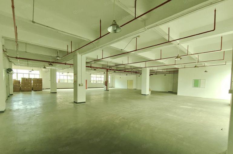 整层800平方带办公室卫生间厂房出租凤岗镇三联村