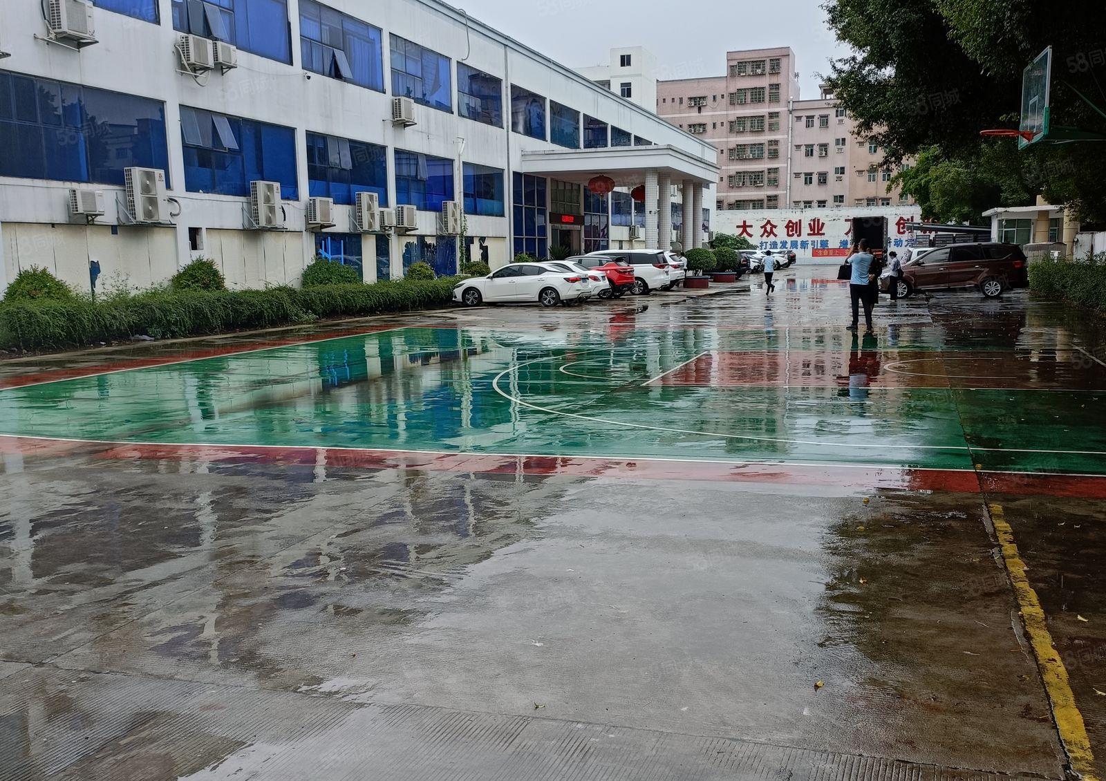 凤岗镇原房东标准厂房一楼二楼出租2000平方水电齐全低价急租