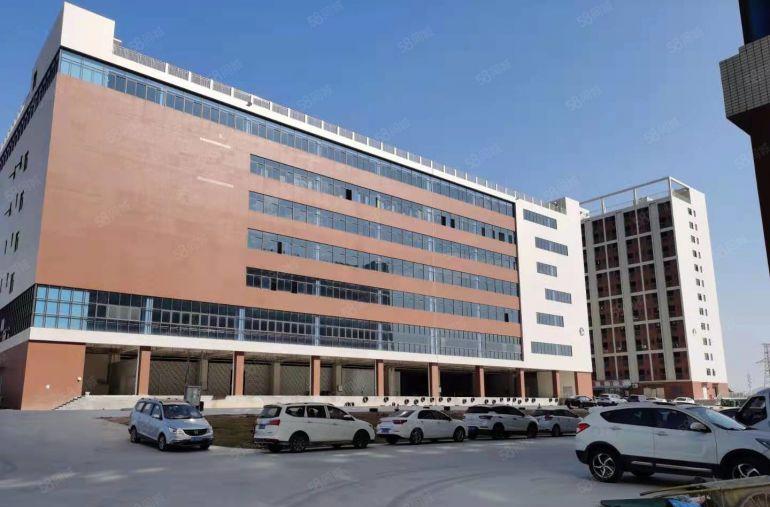 200平起分凤岗金凤凰单层面积2600平和3900平已隔好