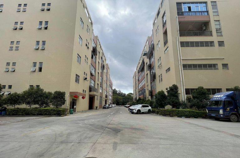 独院独栋厂房）凤岗中心新出1~2层3000平米厂房出租可分租