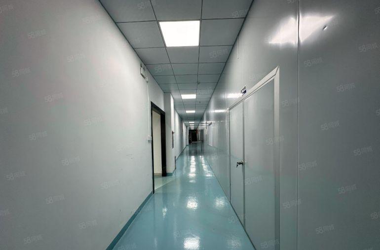 无尘车间！凤岗雁田一房东楼上2000平带精装修低价厂房出租