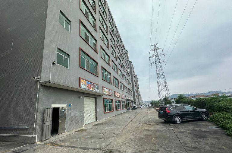 凤岗油甘埔原房东厂房出租1200平全新装修靠近主路配两吨货梯