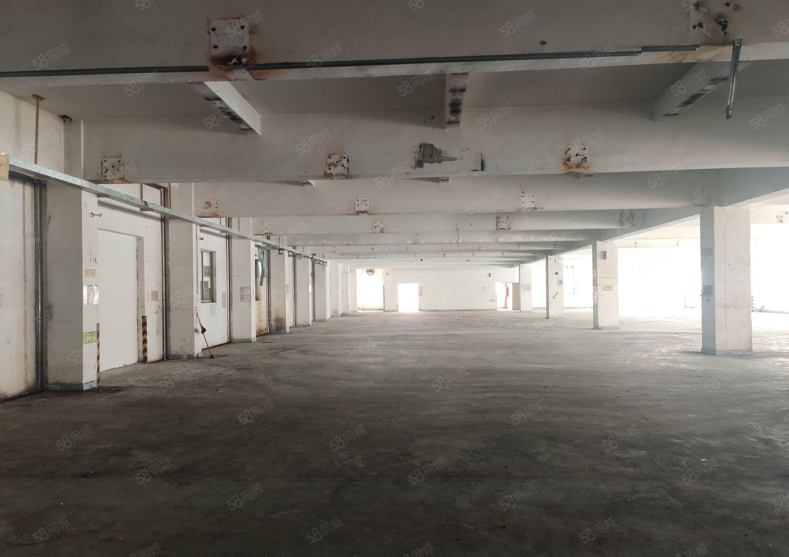 可分租16元起原房东凤岗雁田2万平独院厂房仓库一楼出租