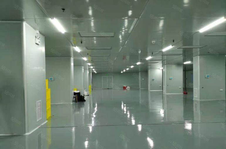 凤岗五联1200平无尘车间无转让费带办公室低价厂房仓库出租