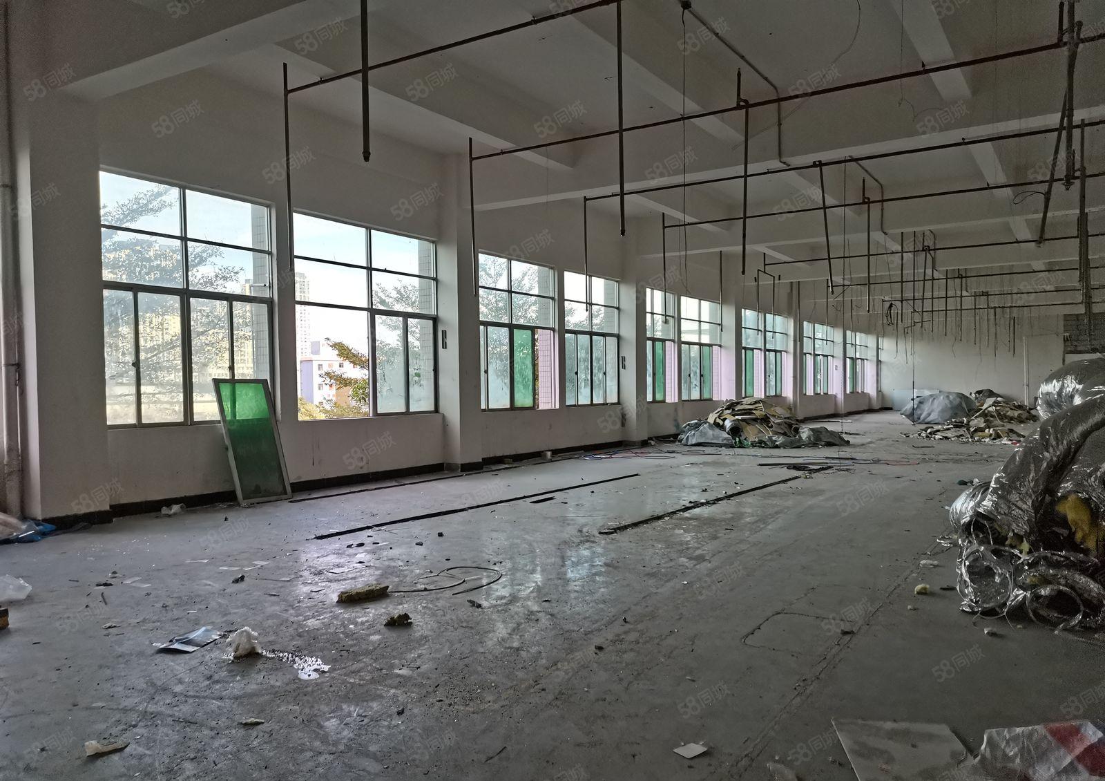 凤岗雁田布心工业区原房东3000平独栋红本仓库厂房出租可分租