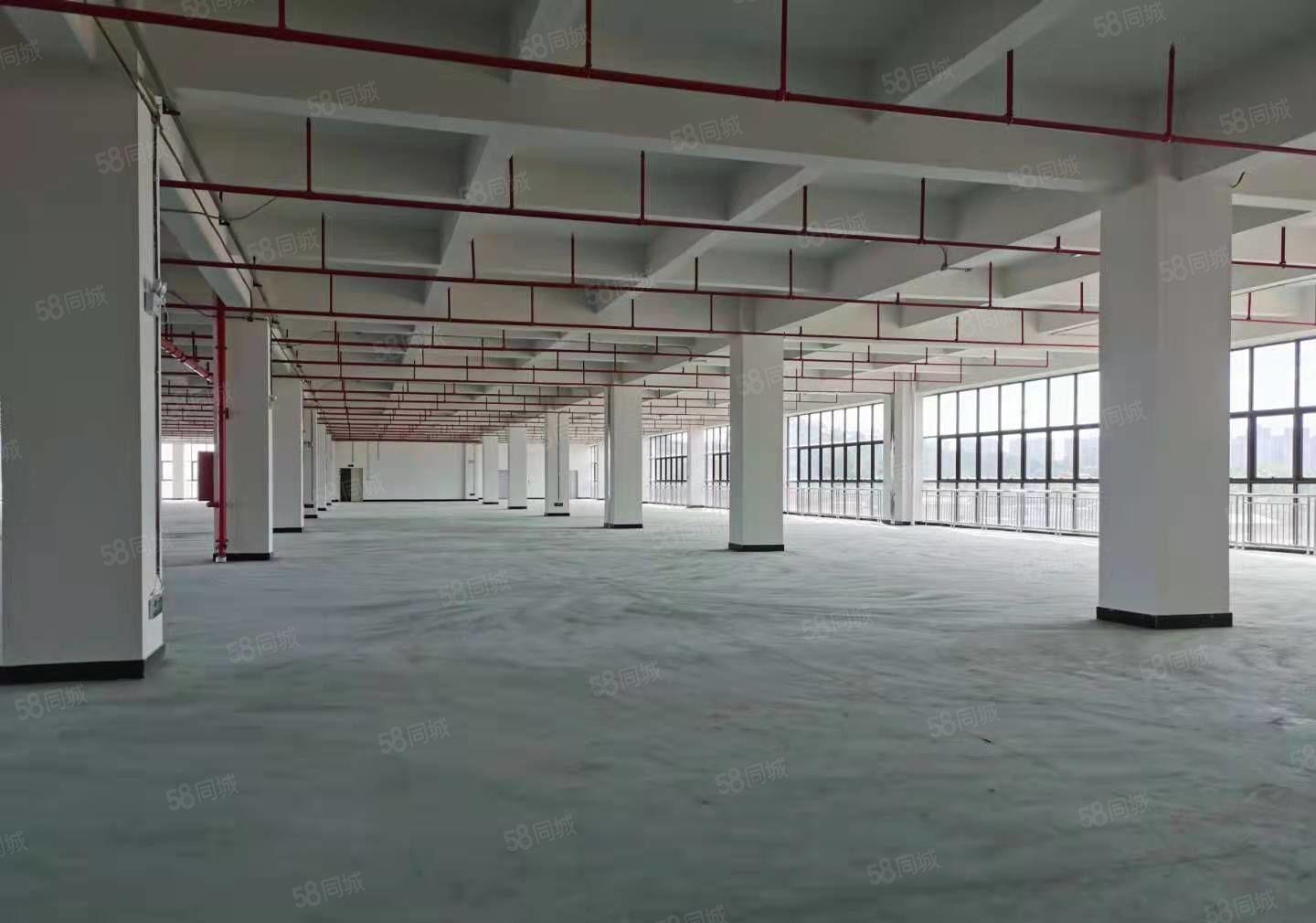 凤岗雁田靠近平湖新出原房东楼上4500平厂房仓库出租，形象好