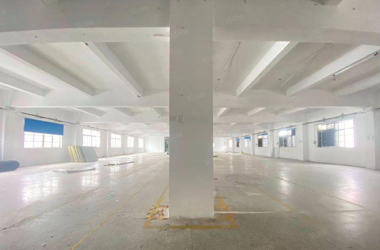 凤岗油甘埔工业区新出楼上1200平出租，形象漂亮 空地大 ！