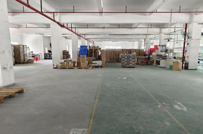 原房东出租 凤岗金凤凰楼上2000平厂房出租 有现成办公室