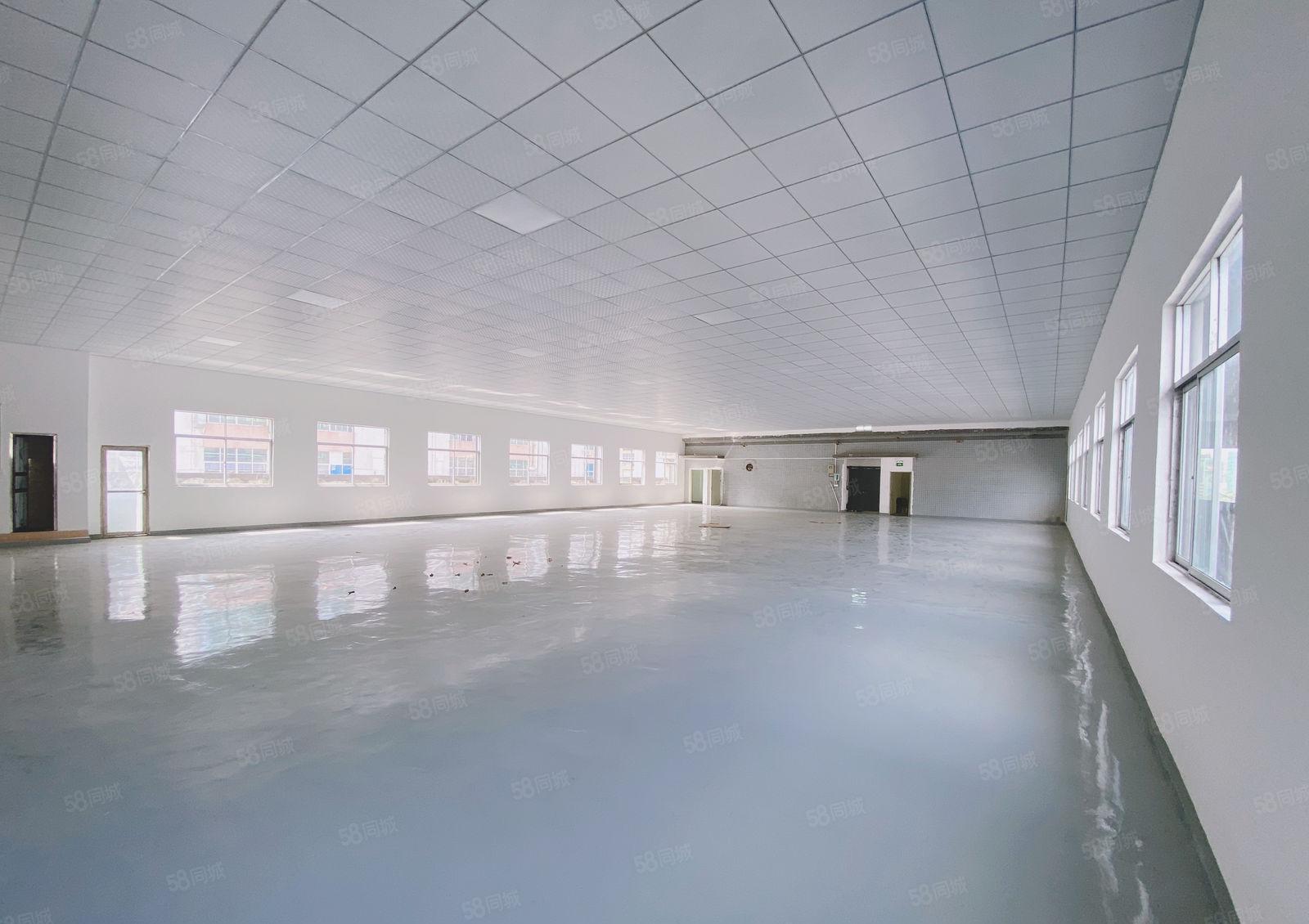 凤岗金凤凰全新装修现成办公室1000平租金12