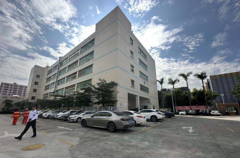 独栋厂房出租5000平大小500起分形象好交通便利