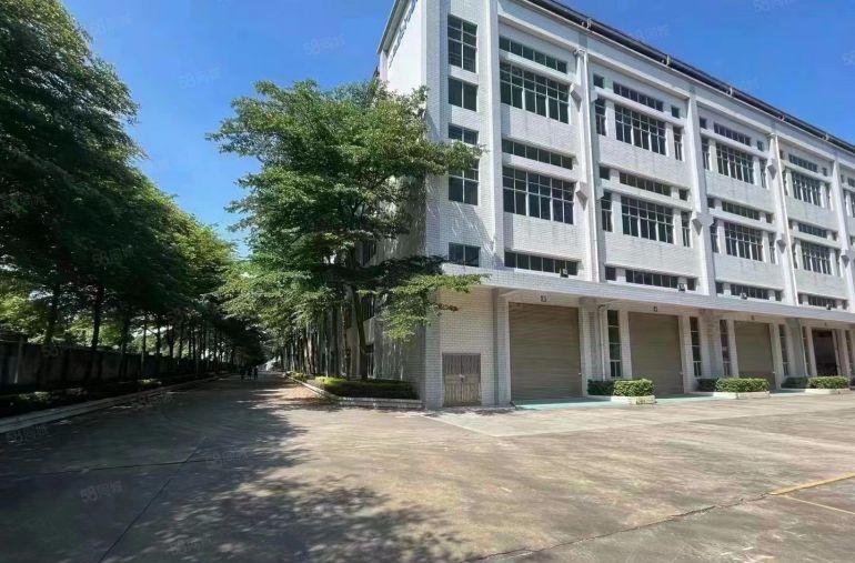 原房东0公摊租！凤岗新出6000平红本厂房仓库出租