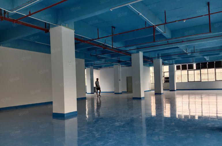 凤岗镇中心楼上厂房500平出租，有地坪漆消防喷淋，四面采光