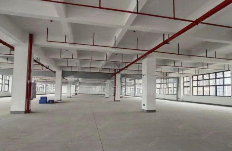 新出！凤岗红本3万平方厂房招租，临深国道旁，工业用地