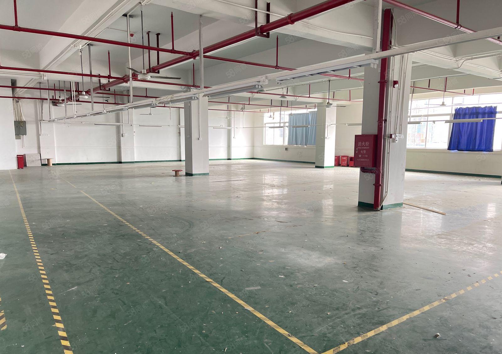 凤岗镇新出原房东红本楼上2000平厂房出租带装修可分租