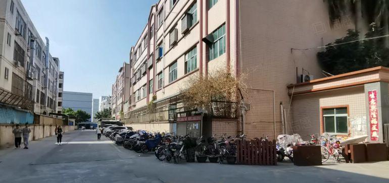 12元起租油甘埔工业园区独门独院厂房出租大小可分空地大精装修