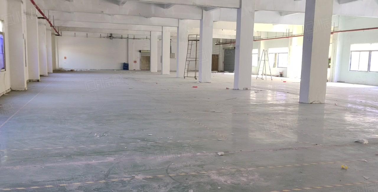 凤岗官井头小布工业区独院1600平一楼标准仓库厂房出租可分租