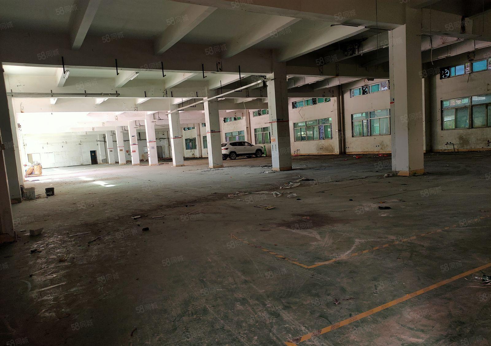 凤岗（临深）六米高一楼2000平花园式 厂房出租 带红本