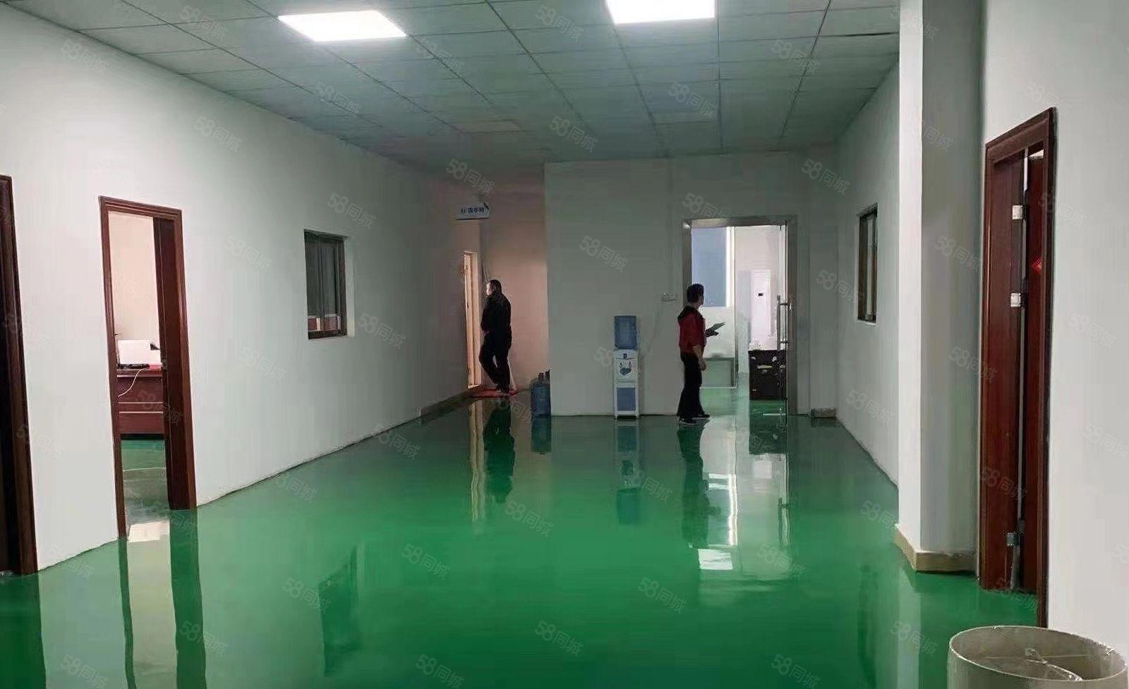 凤岗五联新出独门独院3600平方出租(可以分租）