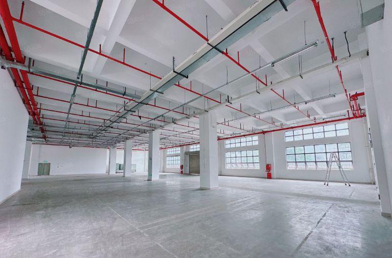 红本厂房出租19层总面积2万平1000平起租凤岗挨着深圳