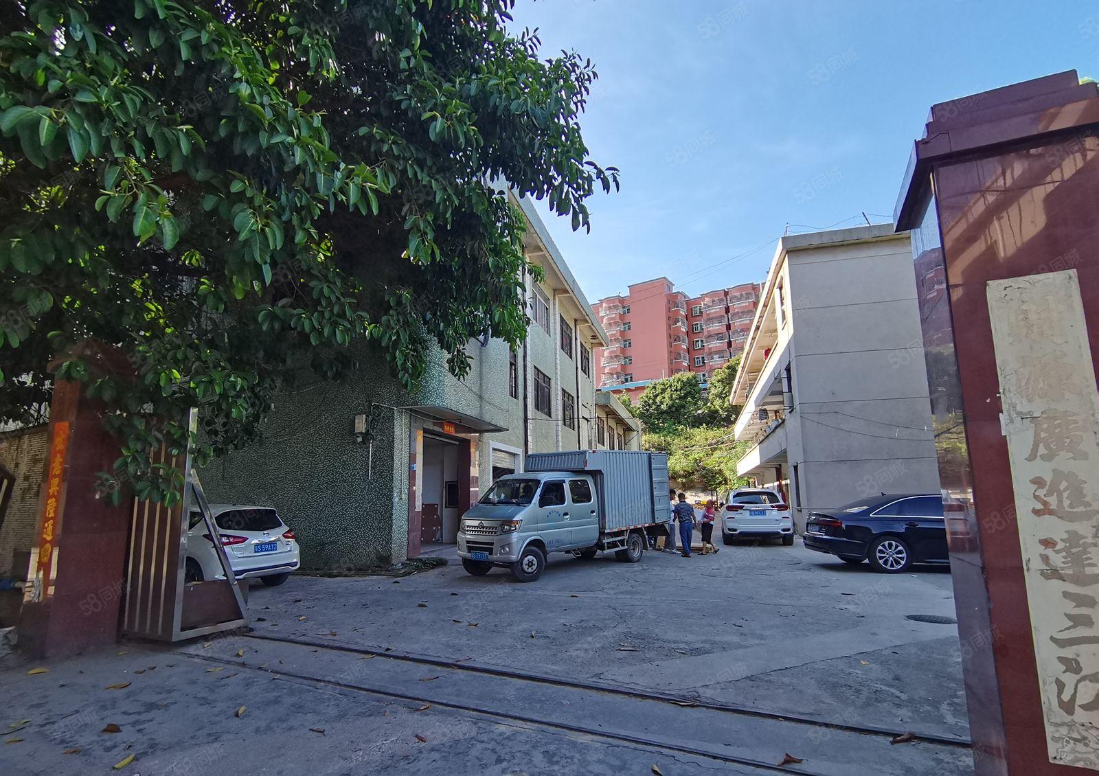 凤岗官井头小布工业区独栋1000平一楼标准仓库厂房出租可分租