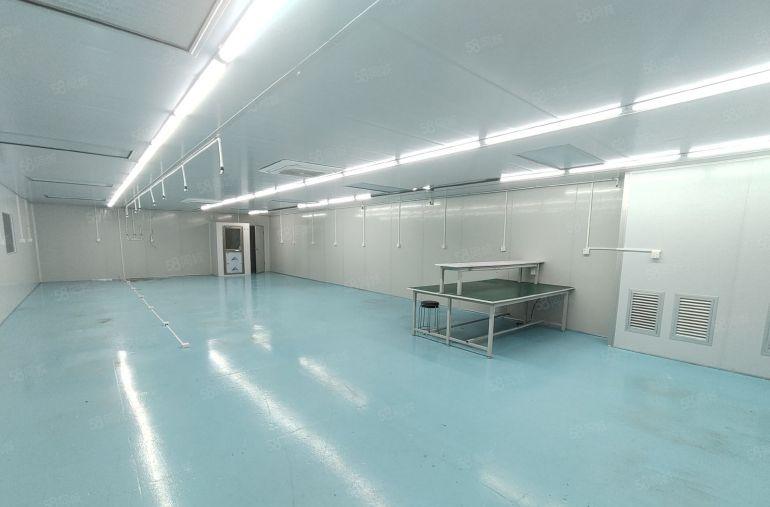 凤岗雁田楼上700平无尘车间厂房出租原租客手机钢化膜