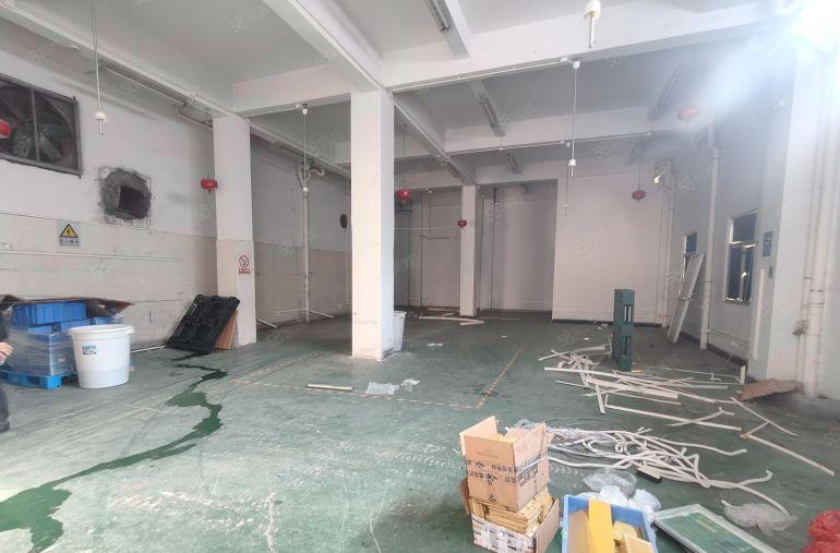 凤岗厂房出租一楼300平5米高 可做注塑五金 CNC 模具