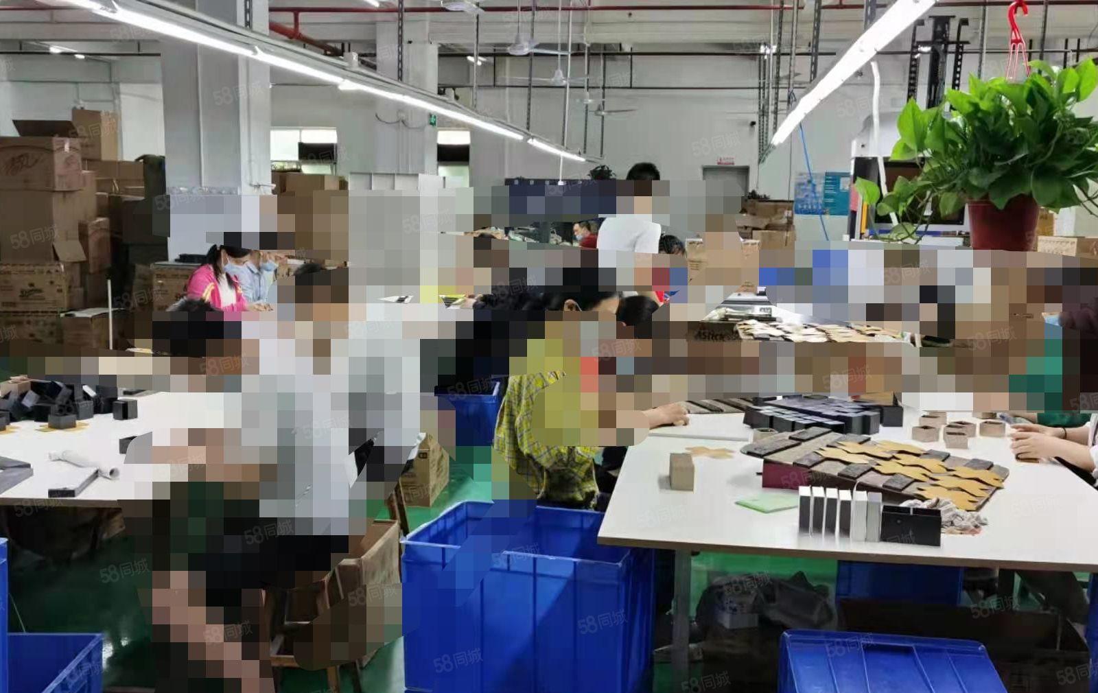 好招工 凤岗包装 皮具 手袋 电子装配线材厂房出租1530平