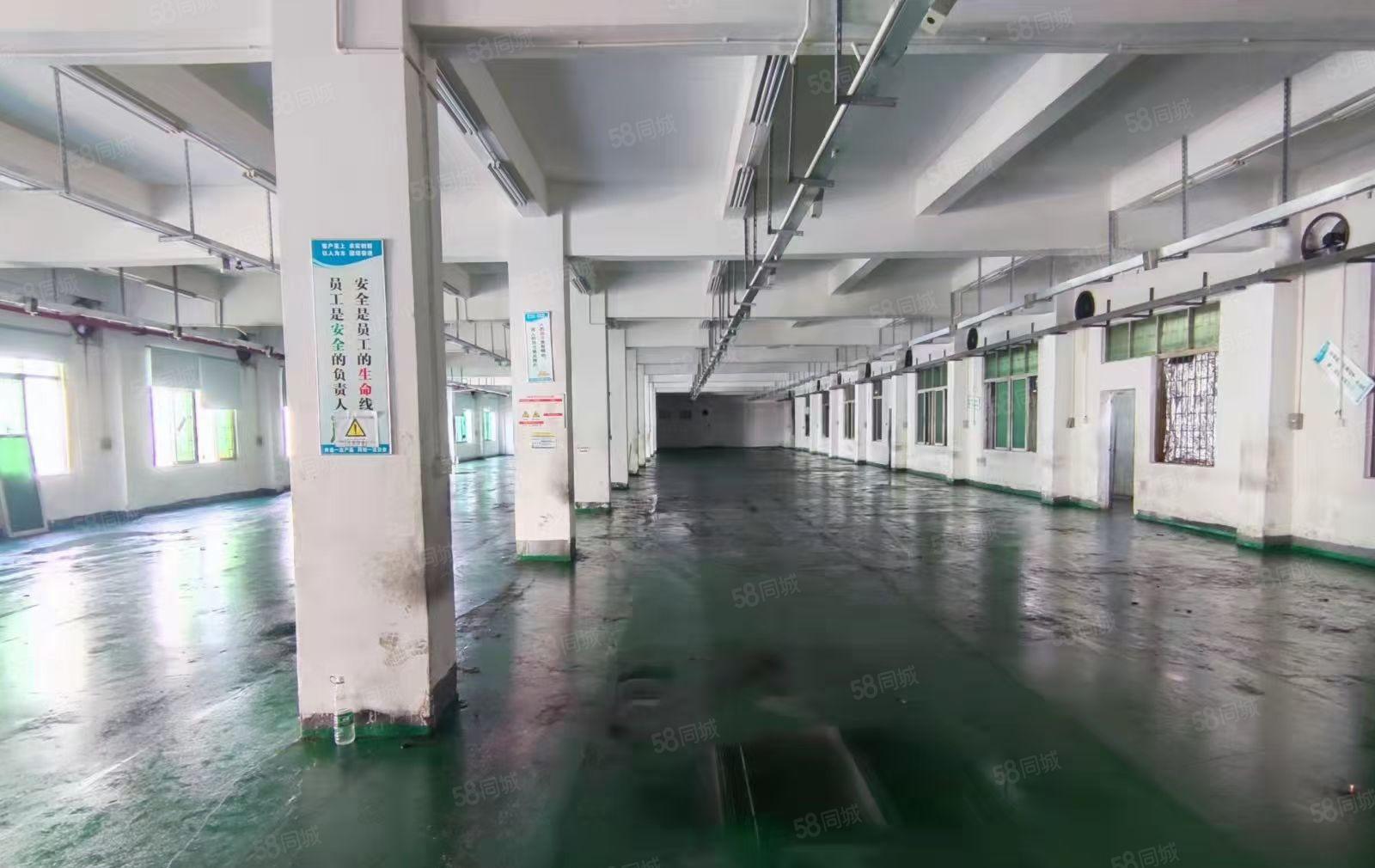 凤岗油甘埔红本独院厂房6000平出租形象好交通方便（可分租