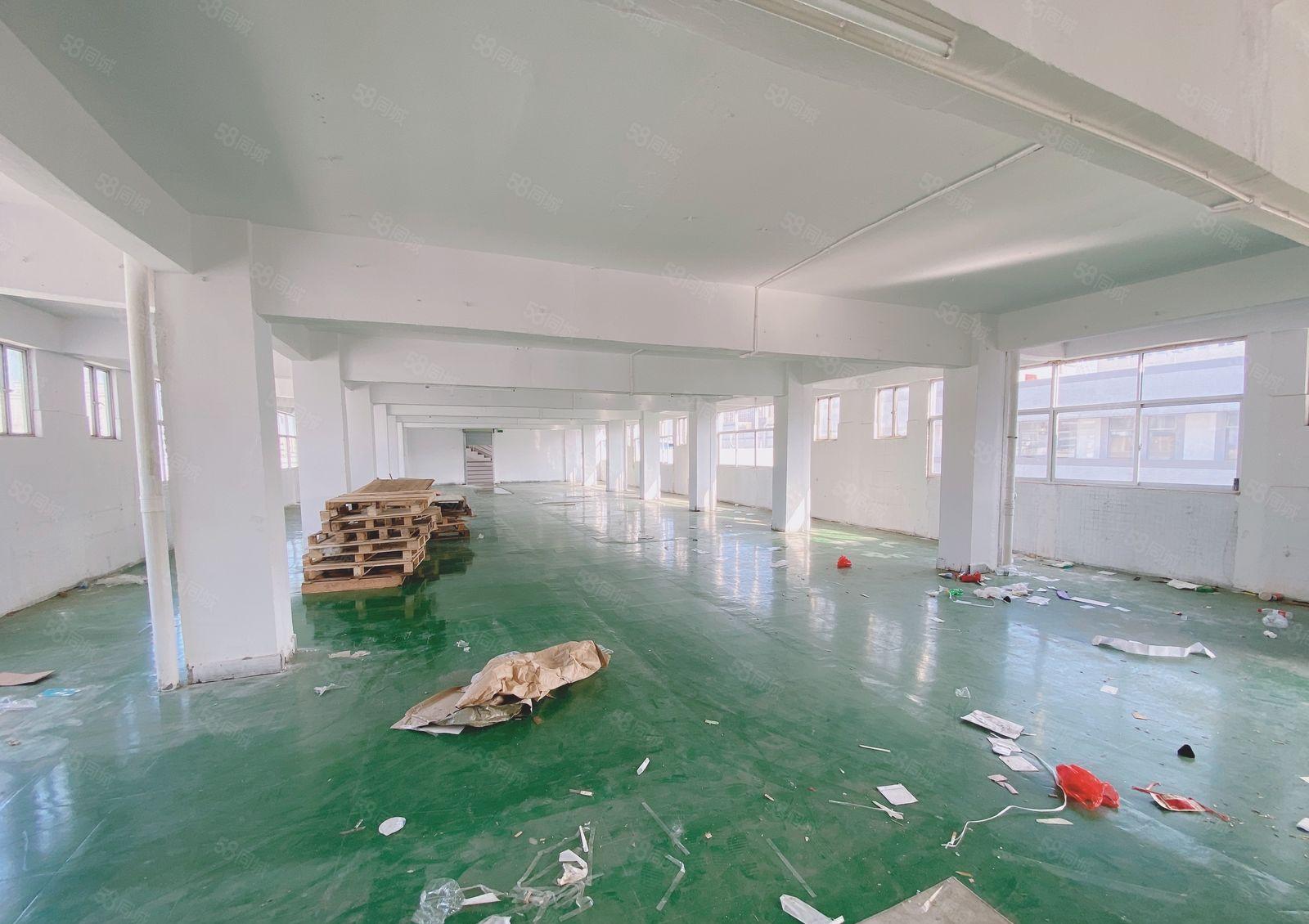 凤岗雁田600平自家厂房出租可做仓库现成水电独立卫生间